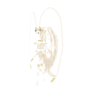 In-game model of Pheromosa