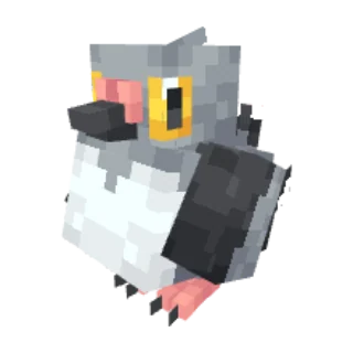 In-game model of Pidove